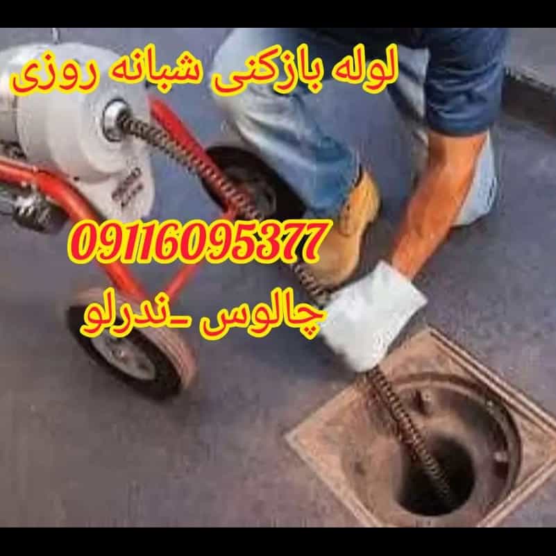 1698235339226.webp